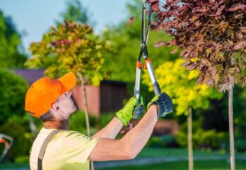 0bd00763-6099-4a09-9282-6c5dda0a5083