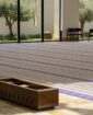 زراعه اشجار الزيتون نخل واشنطني نخل عربي كريزيا تر