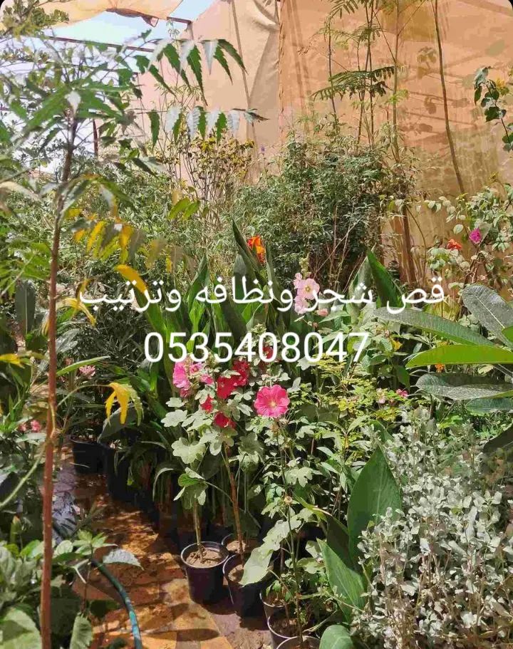 قص شجر ونظافه وترتيب