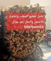 7ab92e92-fefb-4aac-b995-1d488862333a