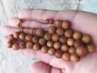 الرياض