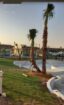 الرياض