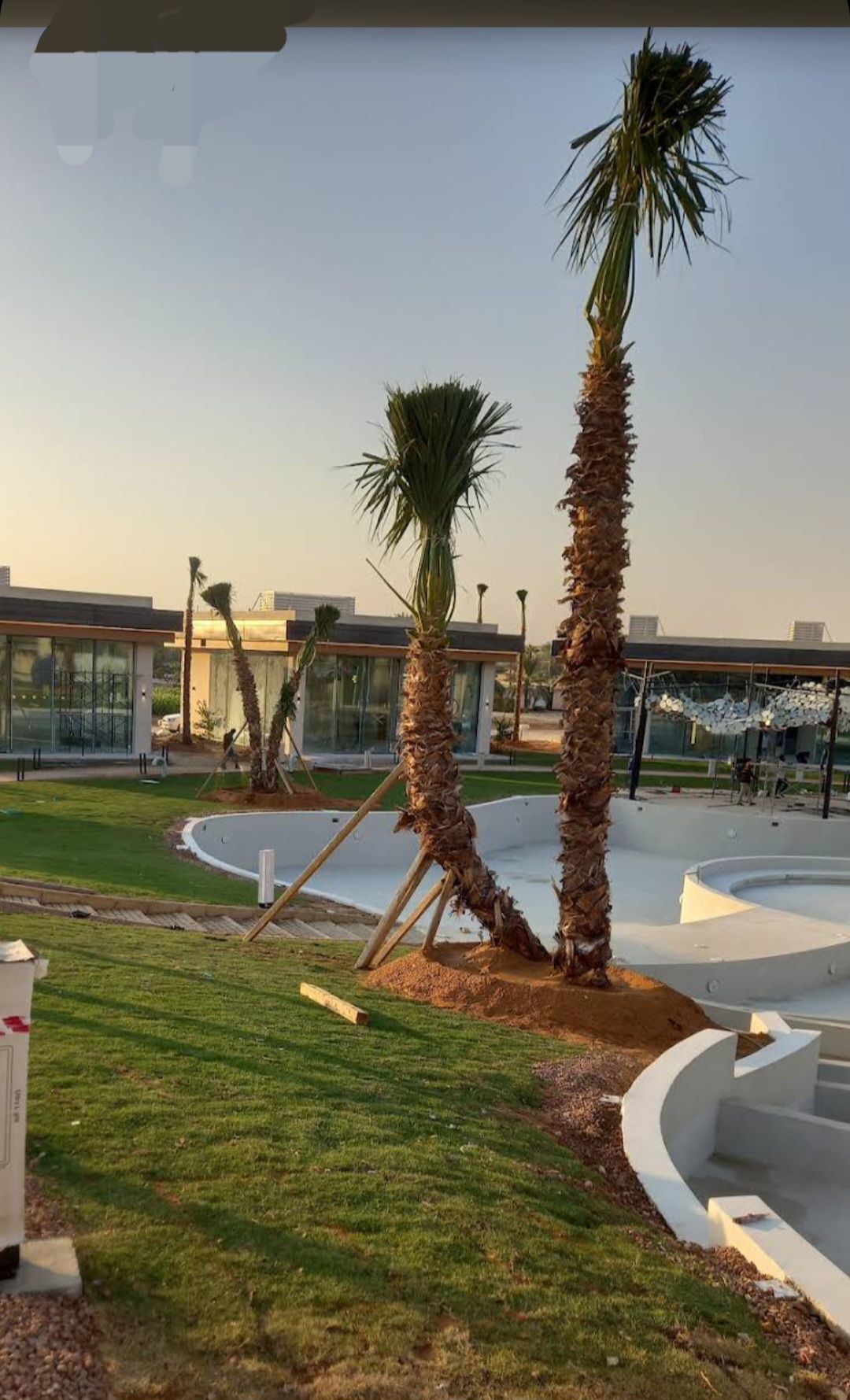 الرياض