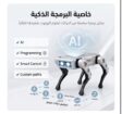 جدة