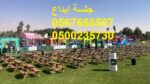 تأجير كراسي بار في الرياض ، طاولات بوفيه