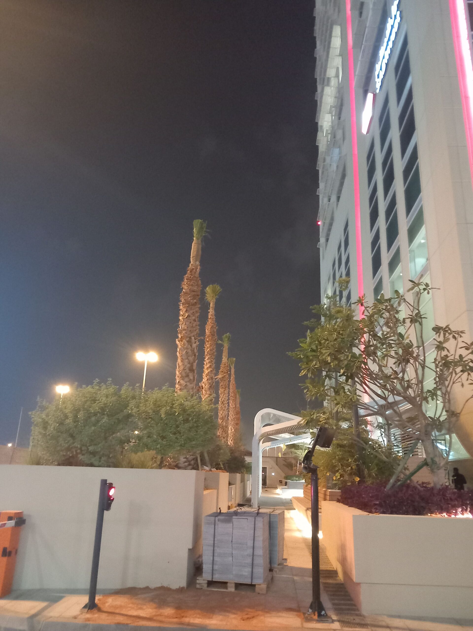 الرياض