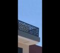 الرياض