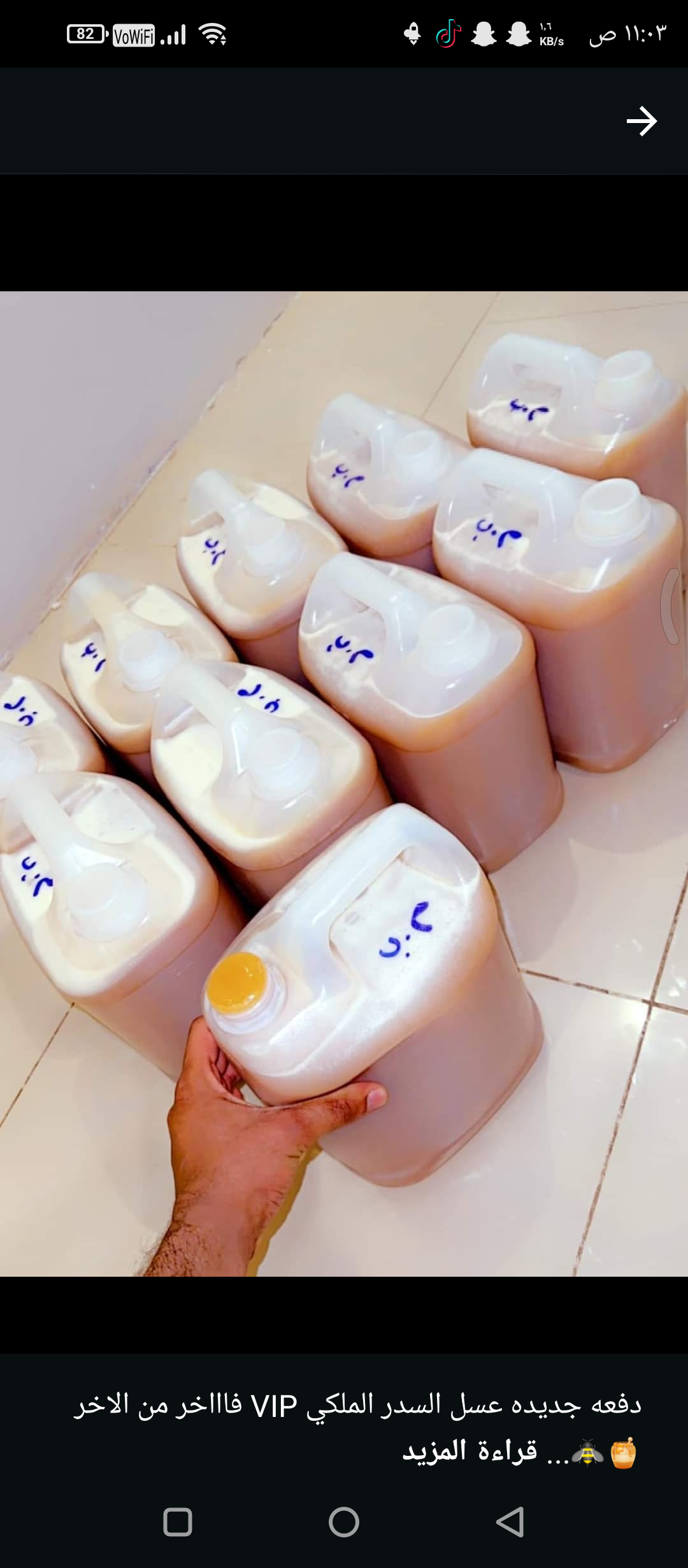 المدينه المنوره