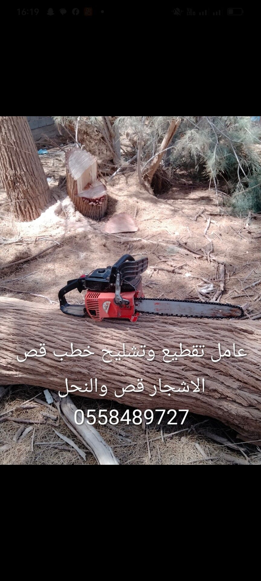 عامل تقطيع تشليح حطب قص الاشجار قص الانخل 05584897