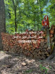 21cad2fe-e336-4fd7-a856-fb82c2ff20d7