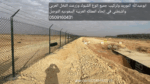 الرياض