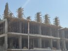 الرياض