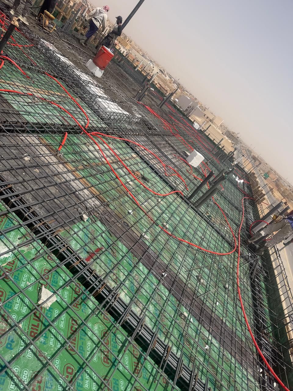 الرياض