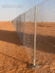 الرياض