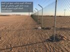 الرياض