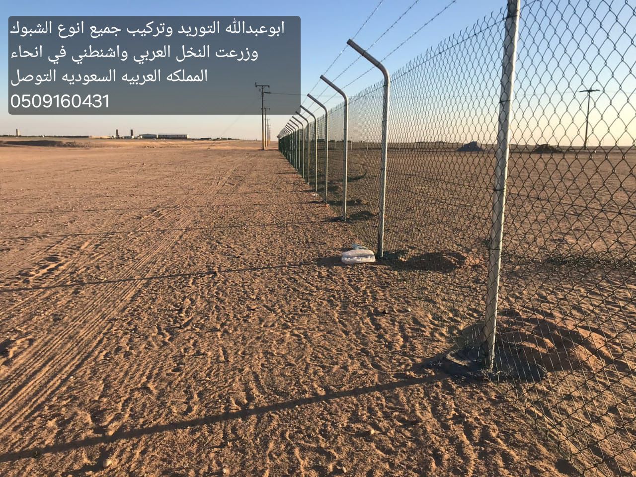 الرياض